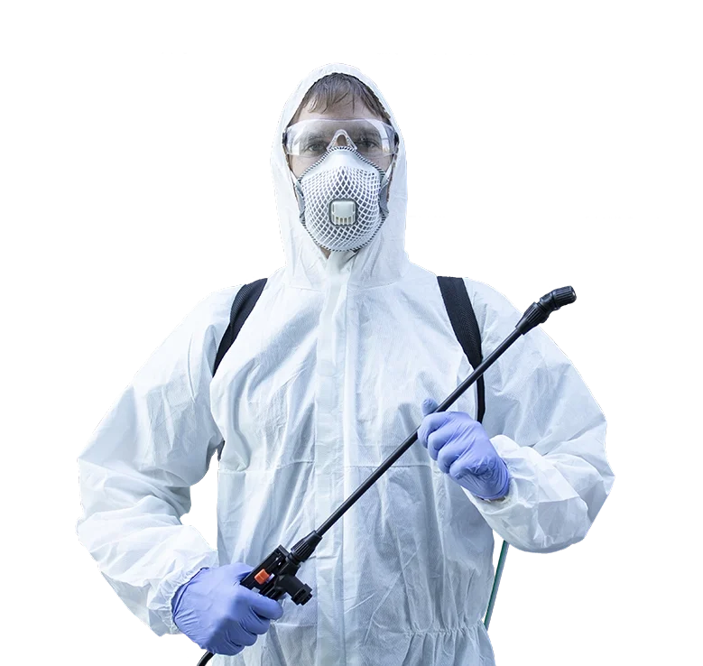 Böcek İlaçlama Hizmeti